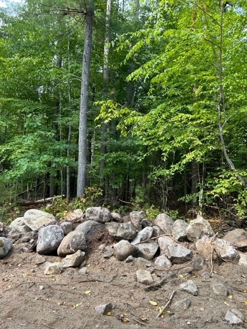 4a Old Road Duxbury, MA 02332 - Photo 6 of 18 a view of a forest with trees