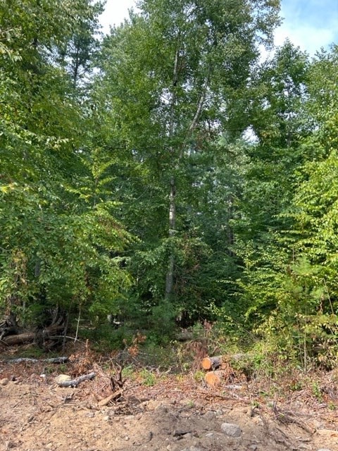 4a Old Road Duxbury, MA 02332 - Photo 7 of 18 a view of a large yard with lots of trees