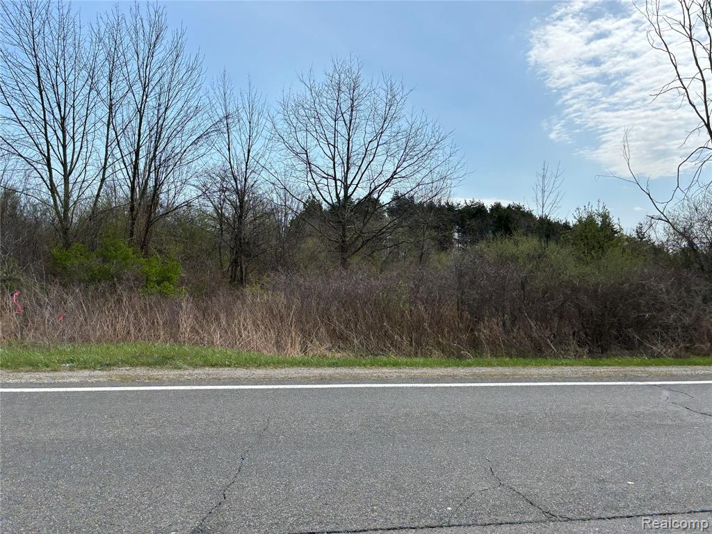 2 Vincent Road North Street, MI 48049 - Photo 1 of 1