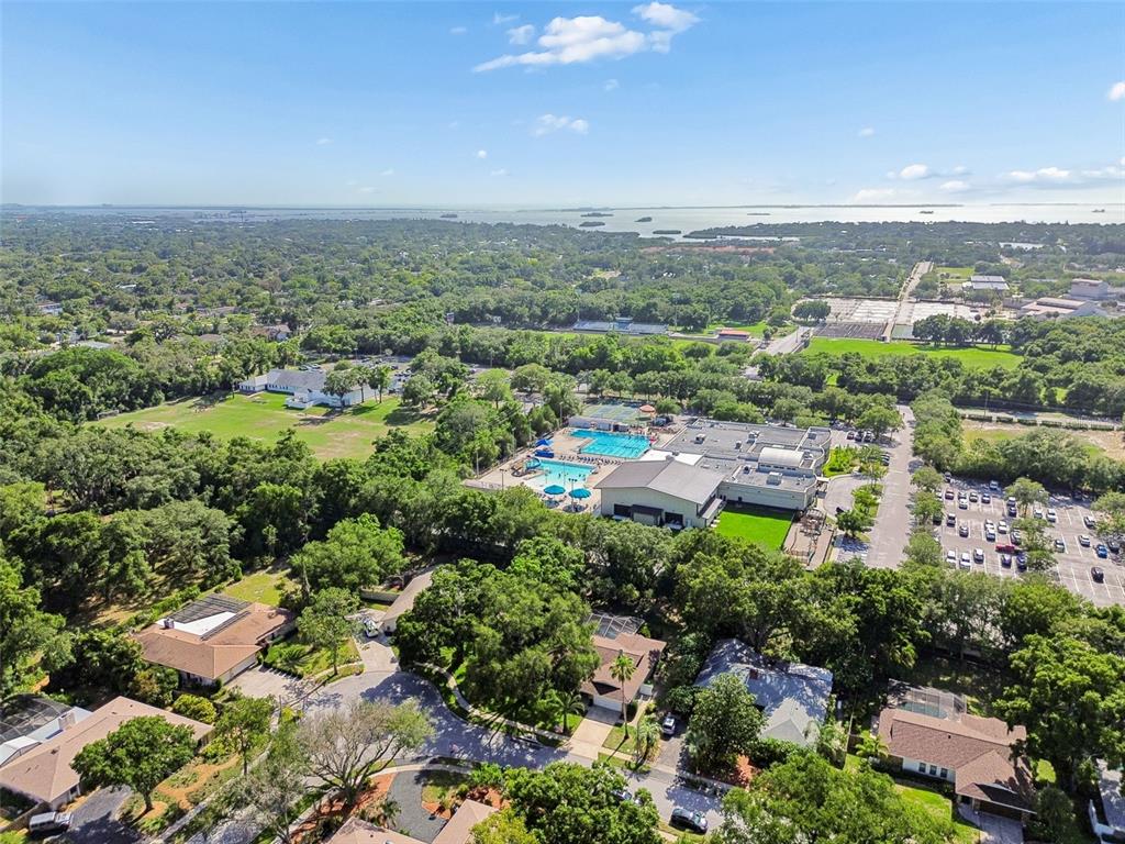515 Sandy Hook Road Palm Harbor, FL 34683 - Photo 65 of 83 Gallery Image 65