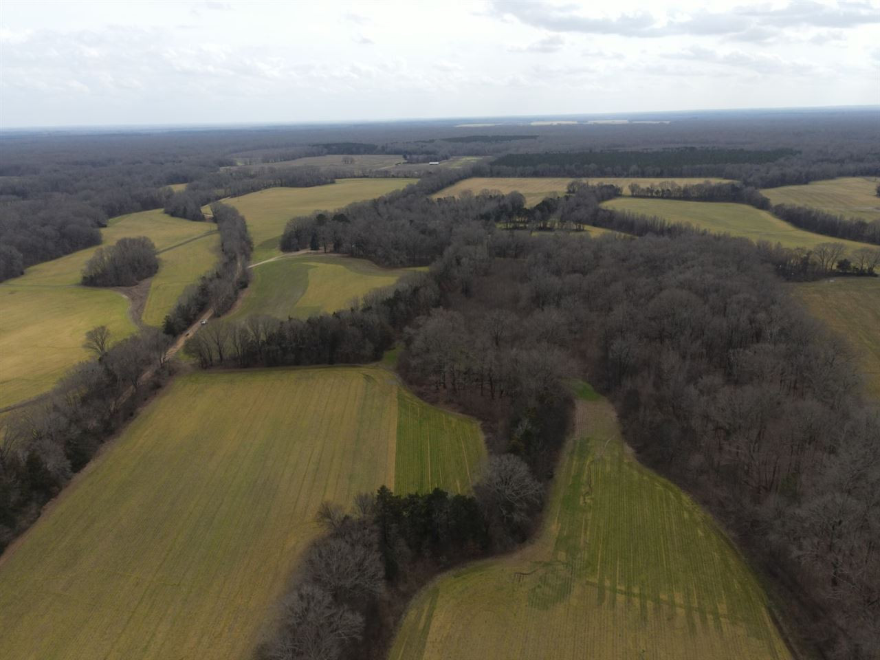 0 Slayton Road Benton, MS 39039 - Photo 1 of 44 Photo 1