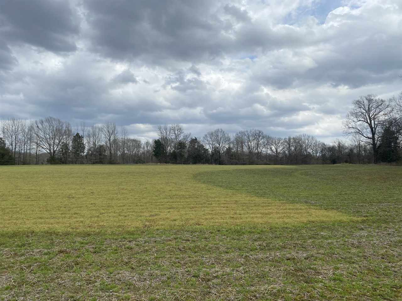 0 Slayton Road Benton, MS 39039 - Photo 11 of 44 Photo 11