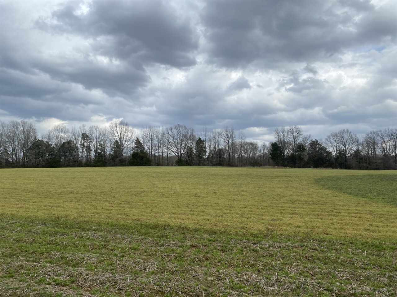 0 Slayton Road Benton, MS 39039 - Photo 12 of 44 Photo 12