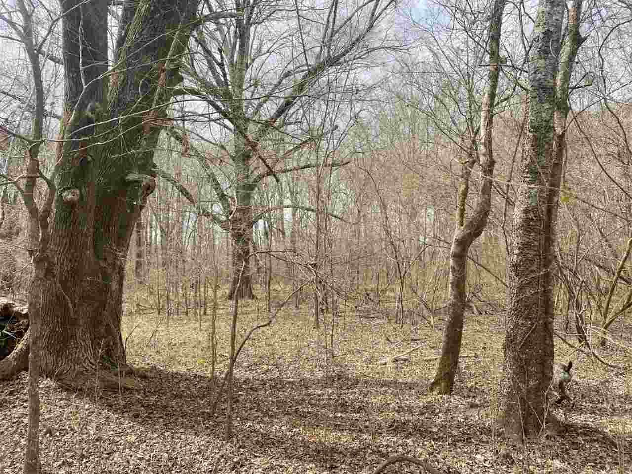 0 Slayton Road Benton, MS 39039 - Photo 14 of 44 Photo 14