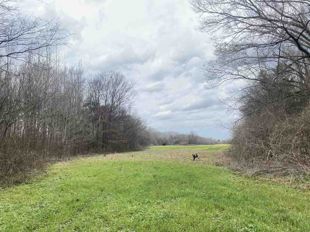 0 Slayton Road Benton, MS 39039 - Photo 15 of 44 Photo 15
