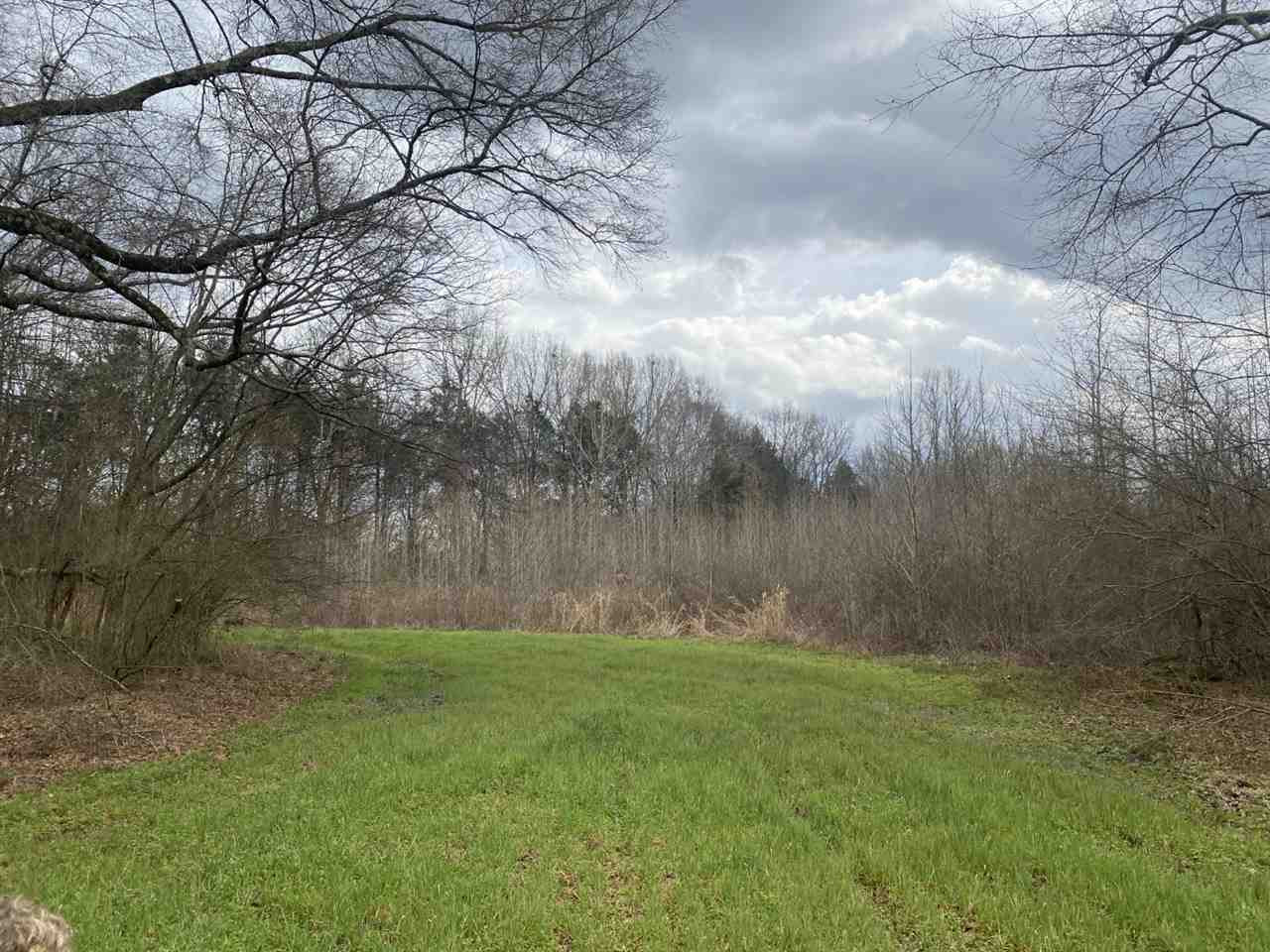 0 Slayton Road Benton, MS 39039 - Photo 16 of 44 Photo 16