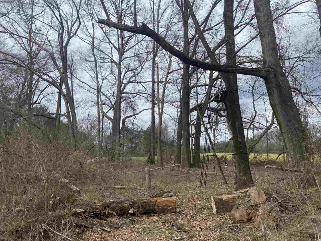 0 Slayton Road Benton, MS 39039 - Photo 17 of 44 Photo 17