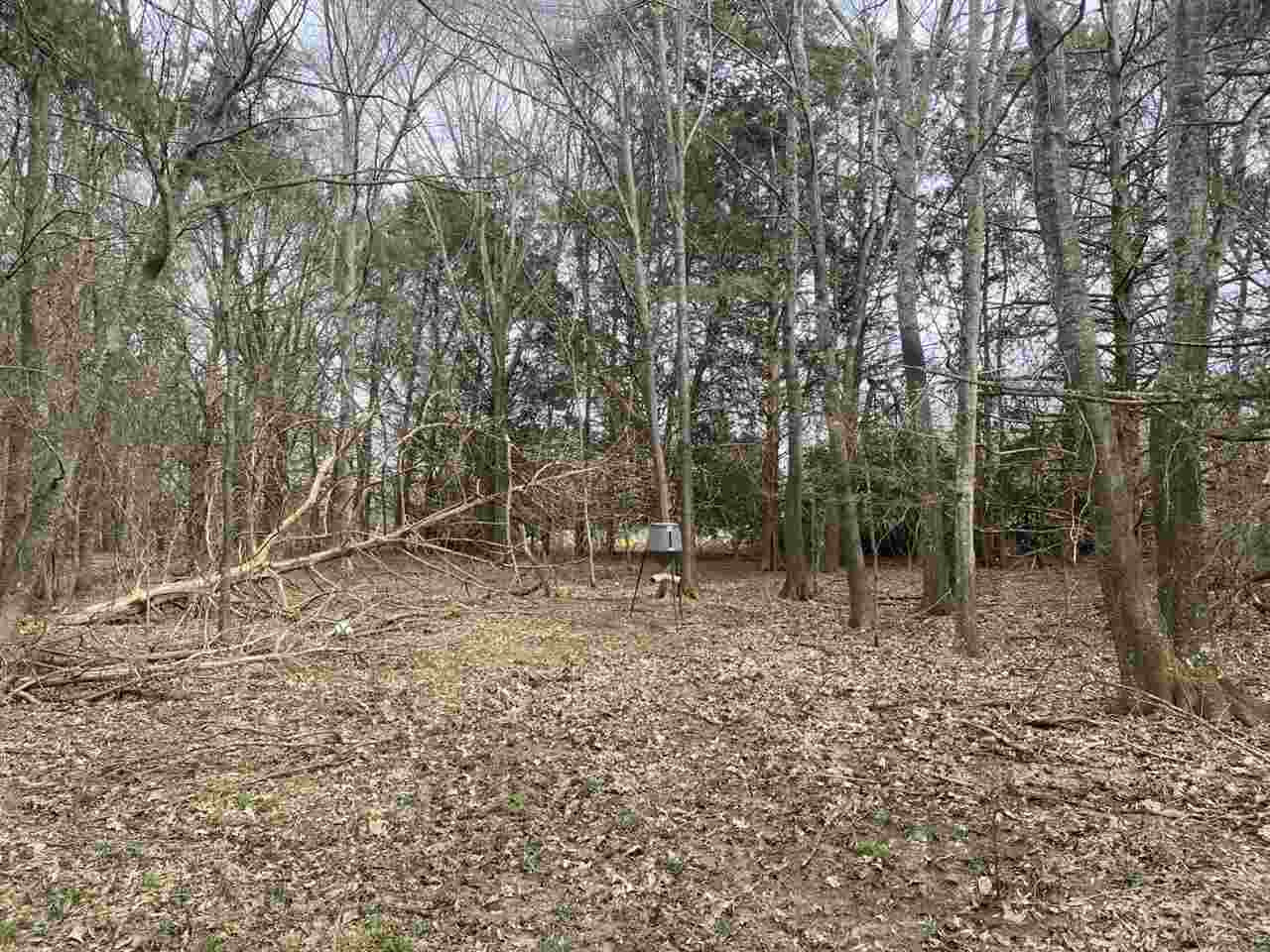 0 Slayton Road Benton, MS 39039 - Photo 18 of 44 Photo 18