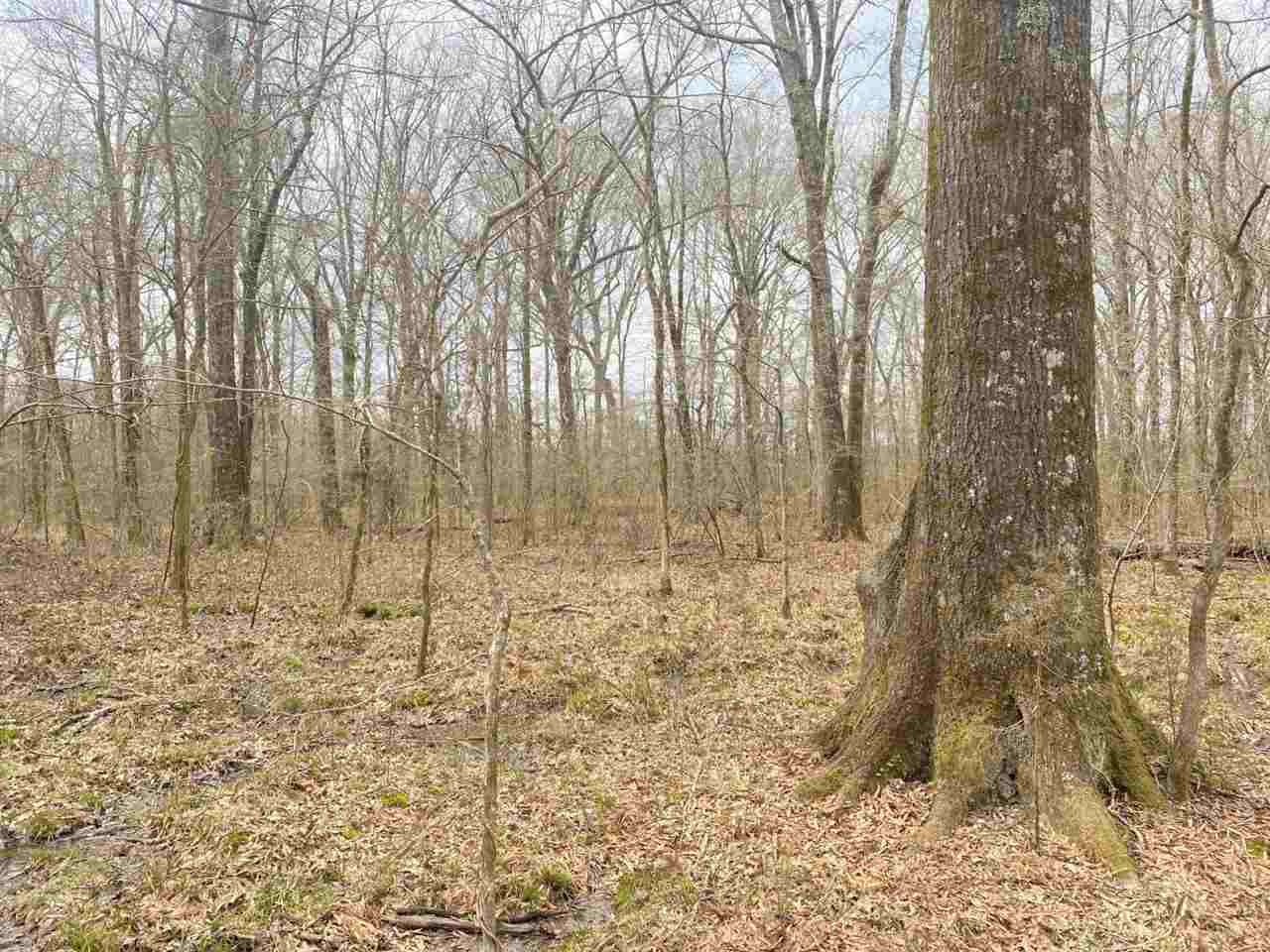 0 Slayton Road Benton, MS 39039 - Photo 20 of 44 Photo 20
