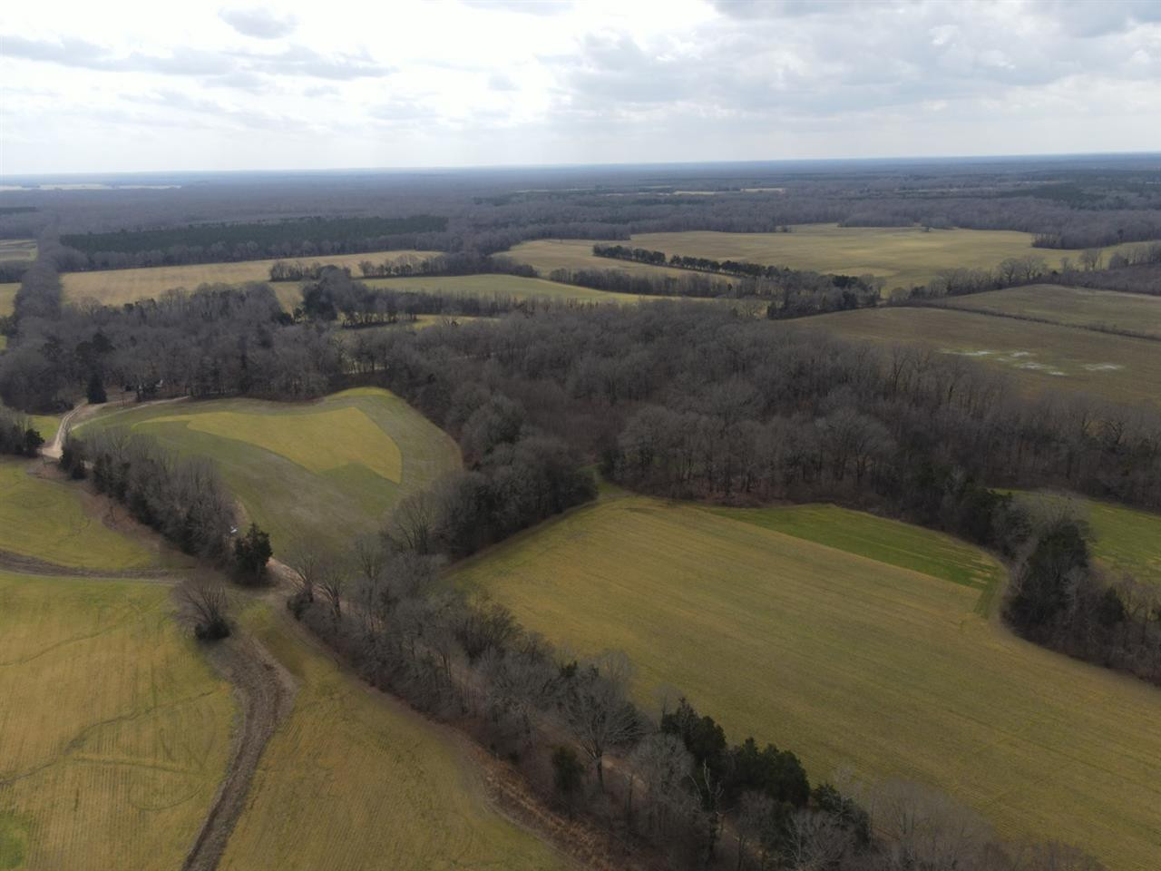0 Slayton Road Benton, MS 39039 - Photo 2 of 44 Photo 2
