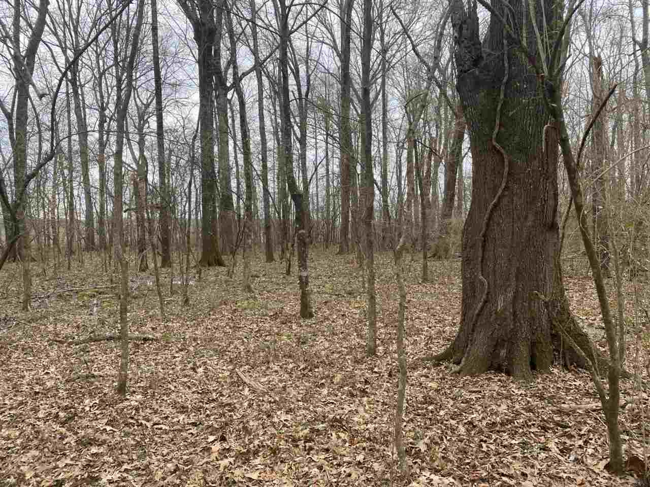 0 Slayton Road Benton, MS 39039 - Photo 23 of 44 Photo 23