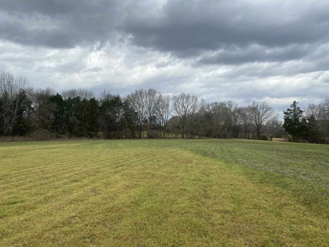 0 Slayton Road Benton, MS 39039 - Photo 26 of 44 Photo 26