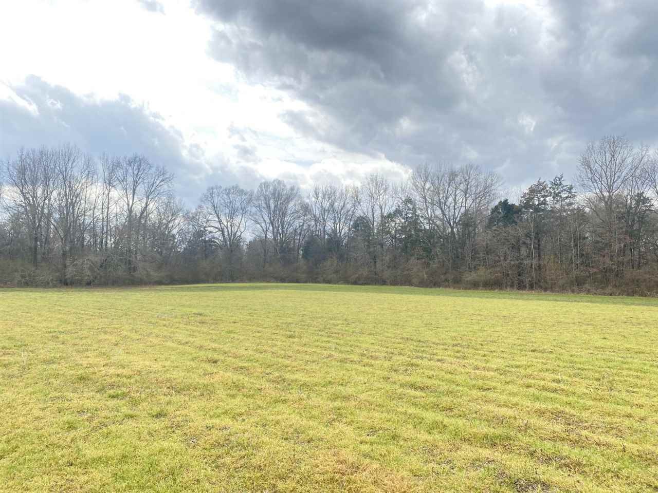 0 Slayton Road Benton, MS 39039 - Photo 27 of 44 Photo 27