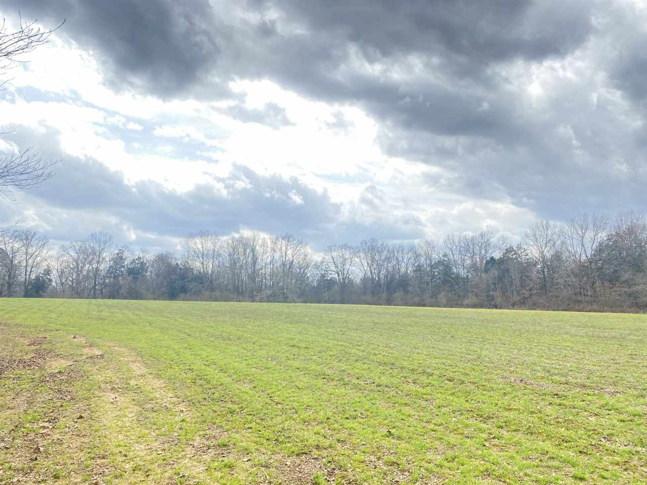 0 Slayton Road Benton, MS 39039 - Photo 29 of 44 Photo 29