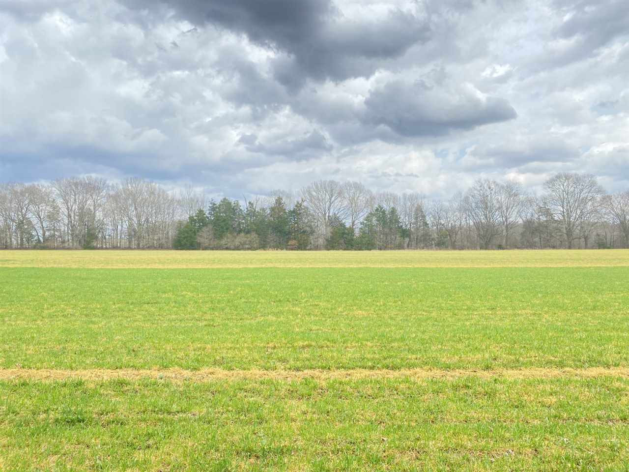 0 Slayton Road Benton, MS 39039 - Photo 3 of 44 Photo 3