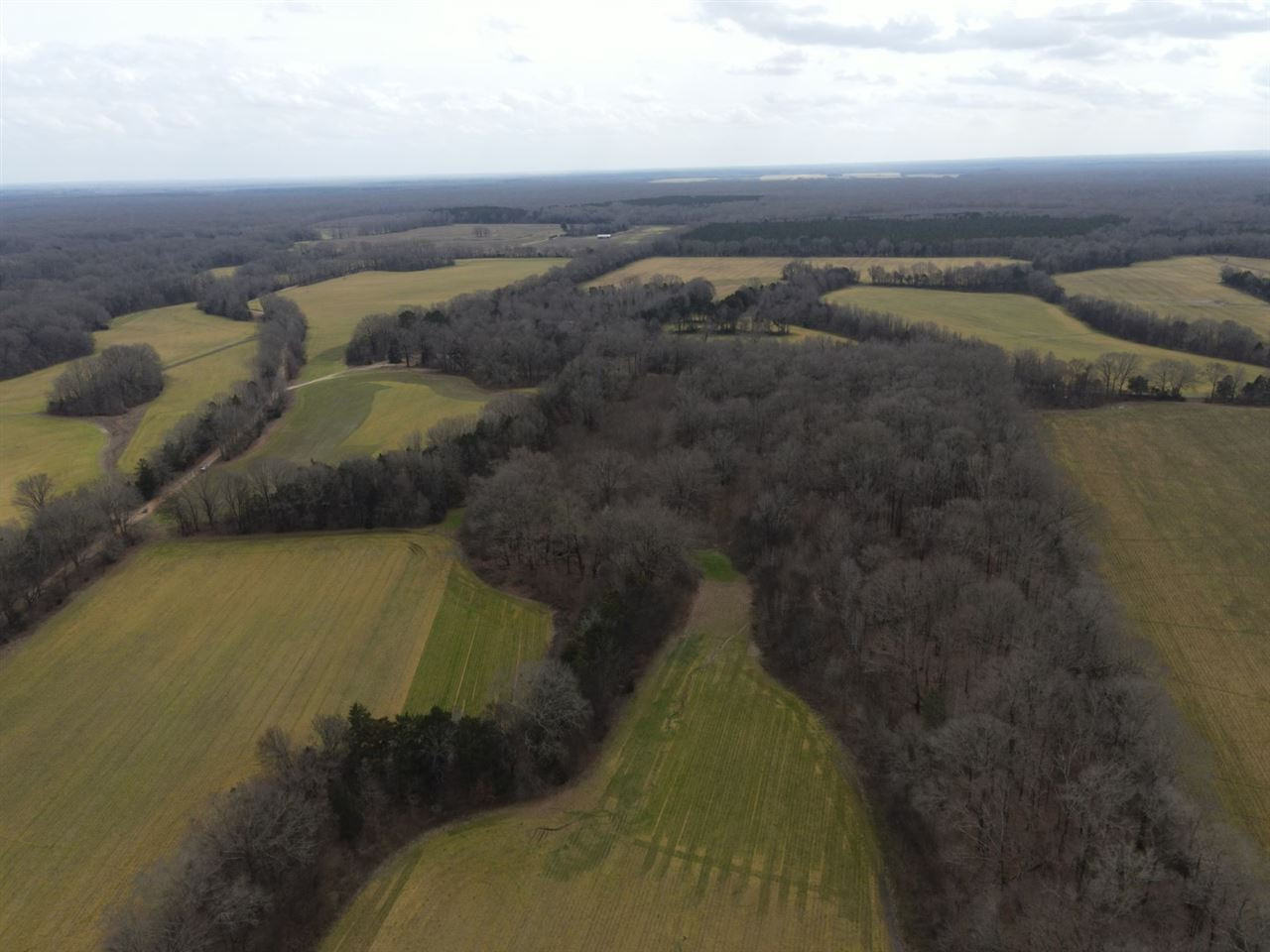 0 Slayton Road Benton, MS 39039 - Photo 31 of 44 Photo 31