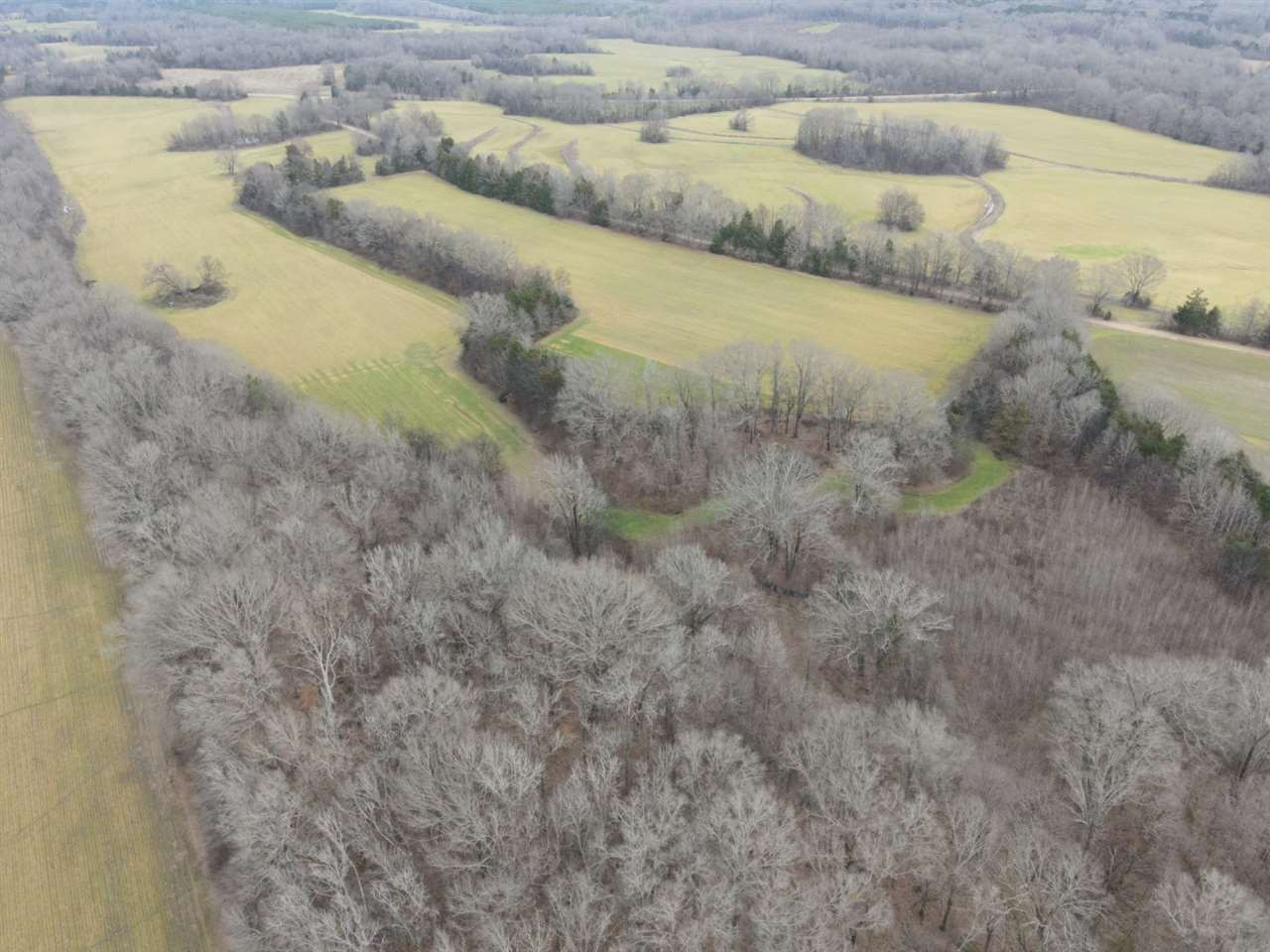 0 Slayton Road Benton, MS 39039 - Photo 33 of 44 Photo 33