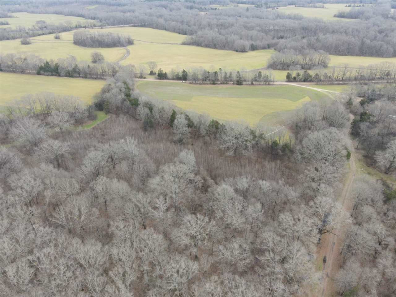 0 Slayton Road Benton, MS 39039 - Photo 34 of 44 Photo 34