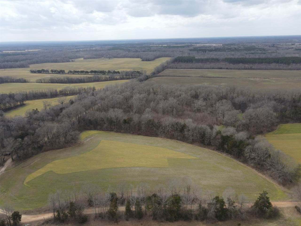0 Slayton Road Benton, MS 39039 - Photo 36 of 44 Photo 36