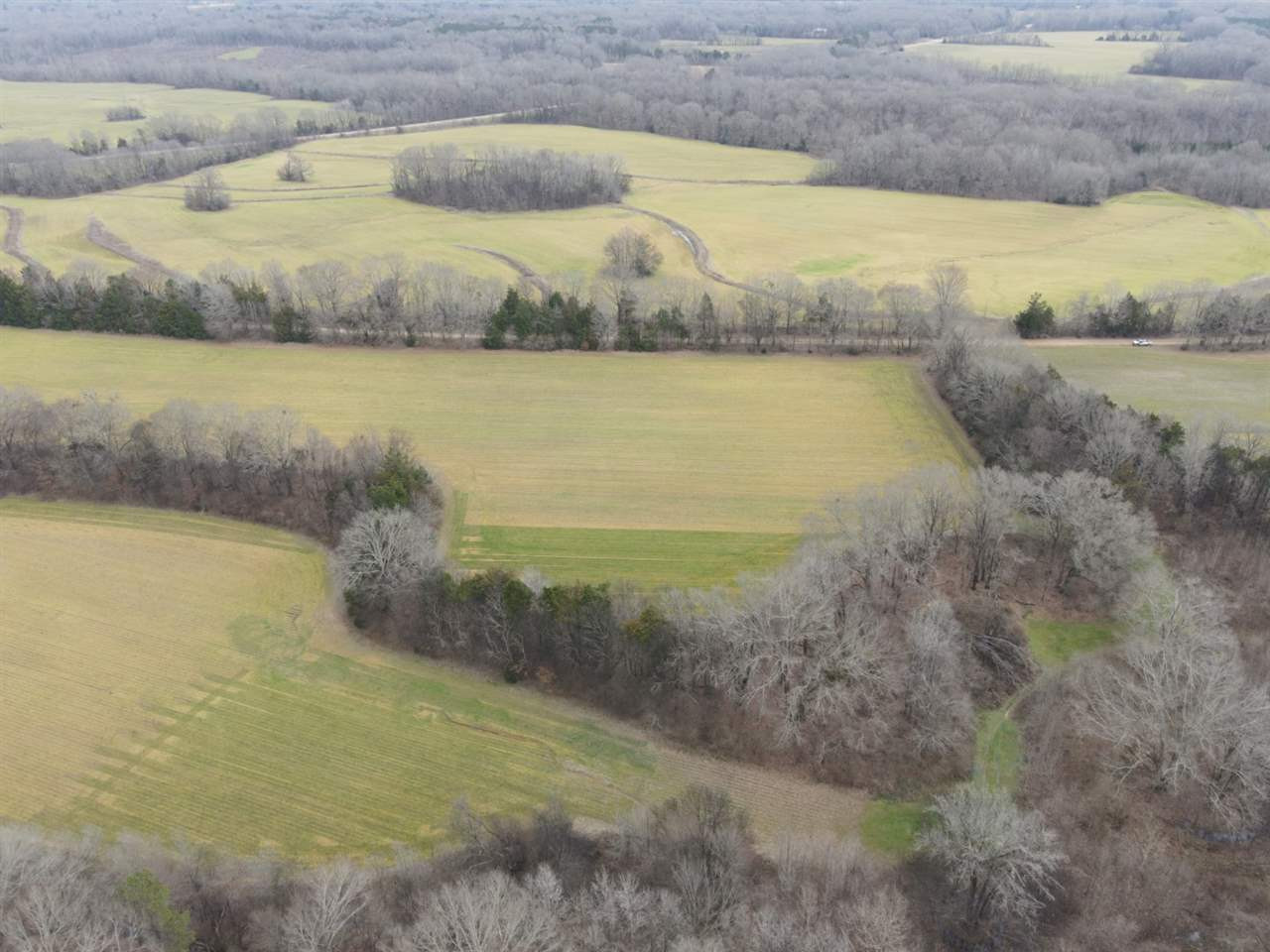 0 Slayton Road Benton, MS 39039 - Photo 38 of 44 Photo 38