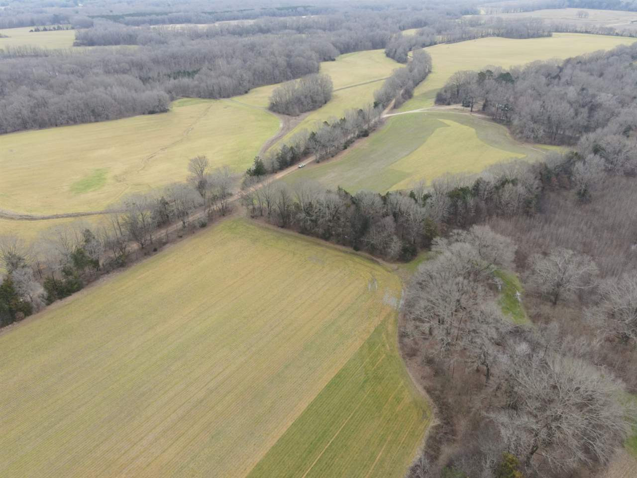0 Slayton Road Benton, MS 39039 - Photo 39 of 44 Photo 39
