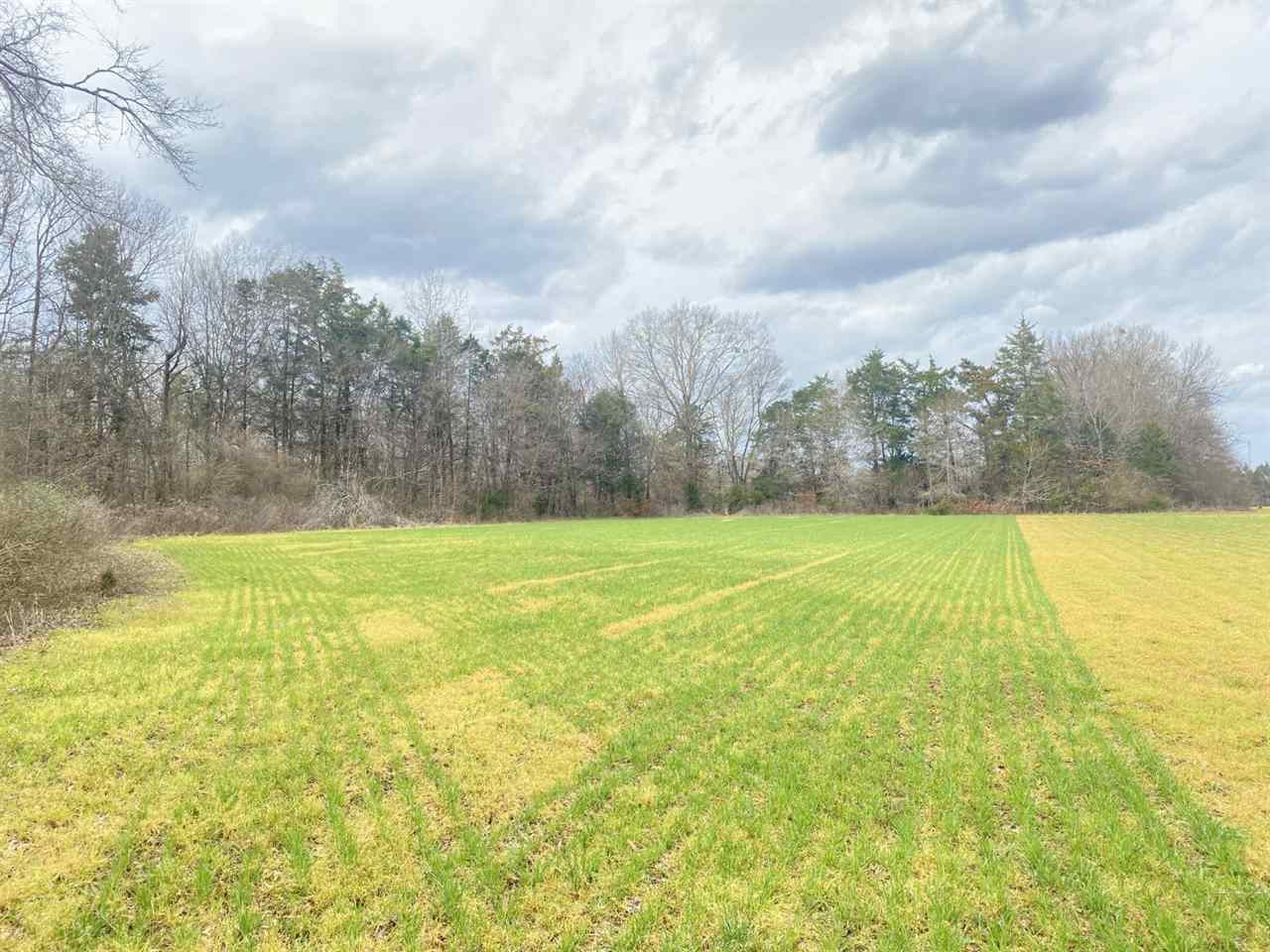 0 Slayton Road Benton, MS 39039 - Photo 4 of 44 Photo 4