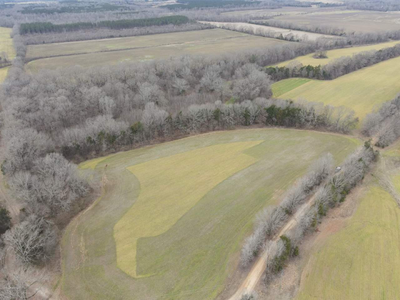 0 Slayton Road Benton, MS 39039 - Photo 44 of 44 Photo 44