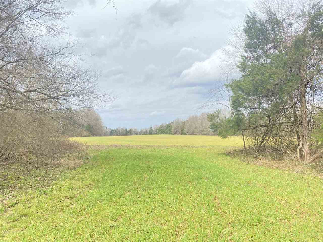 0 Slayton Road Benton, MS 39039 - Photo 5 of 44 Photo 5