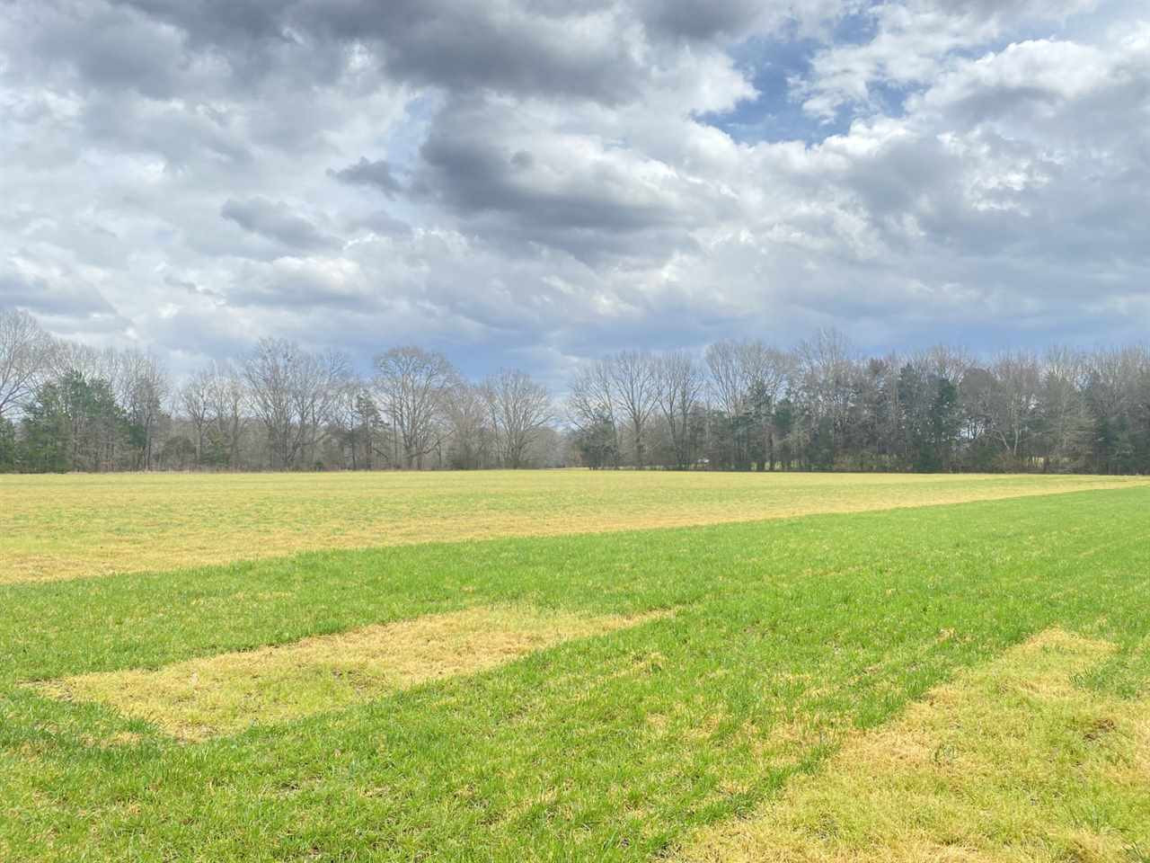 0 Slayton Road Benton, MS 39039 - Photo 6 of 44 Photo 6