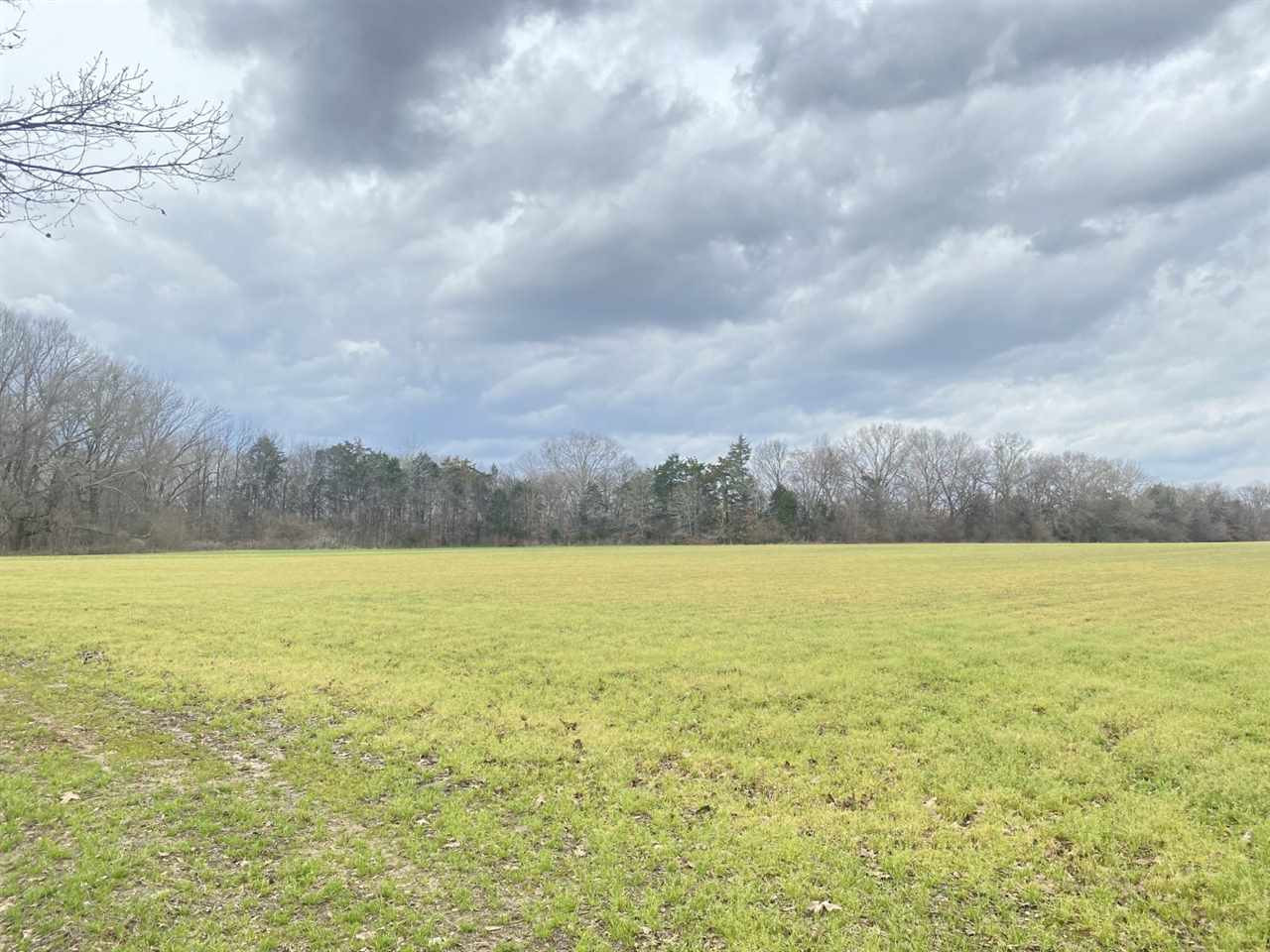 0 Slayton Road Benton, MS 39039 - Photo 8 of 44 Photo 8
