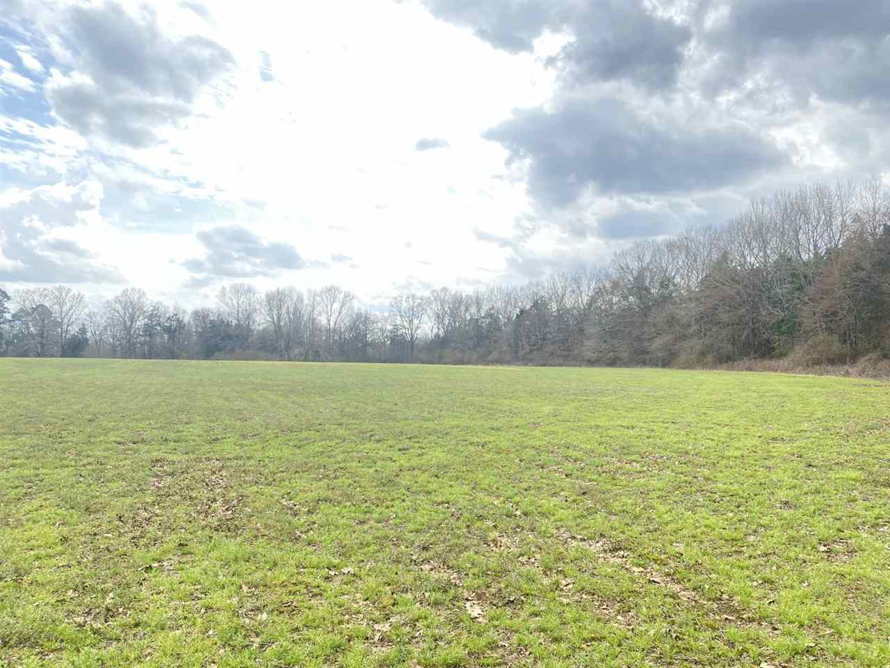0 Slayton Road Benton, MS 39039 - Photo 9 of 44 Photo 9