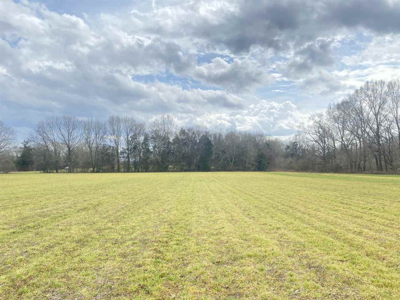 0 Slayton Road Benton, MS 39039 - Photo 10 of 44 Photo 10