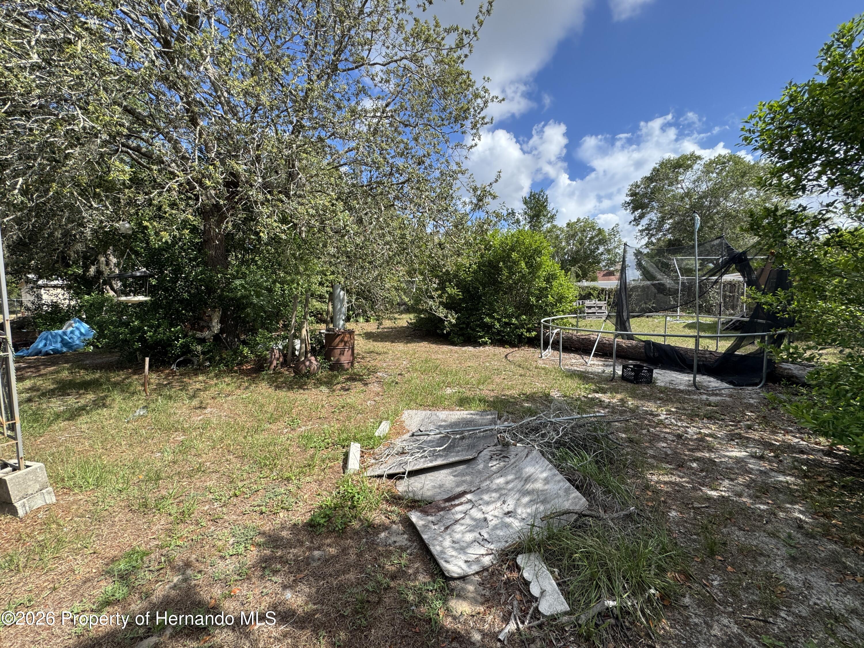 12169 Genter Drive Spring Hill, FL 34609 - Photo 9 of 14