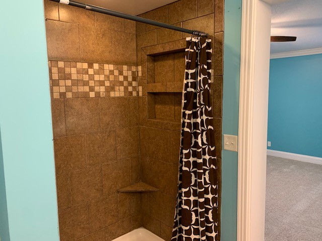 2132 Sagely Anderson Road Manchester, TN 37355 - Photo 11 of 14 a bathroom with a shower and a sink