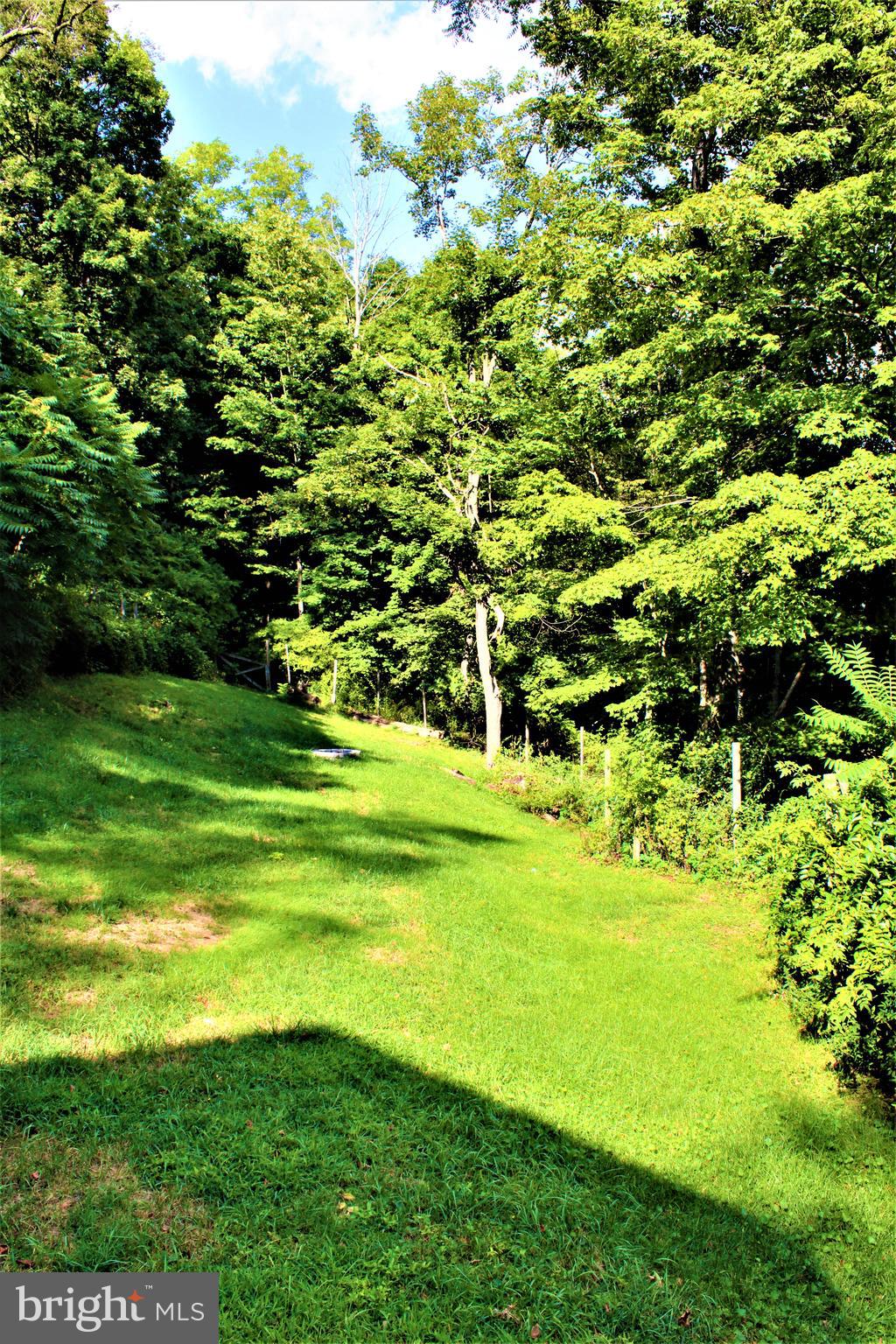 6 Cemetery Road Lonaconing, MD 21539 - Photo 24 of 72 Rear Yard View 3