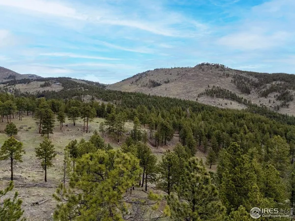 a view of a lake in middle of the forest