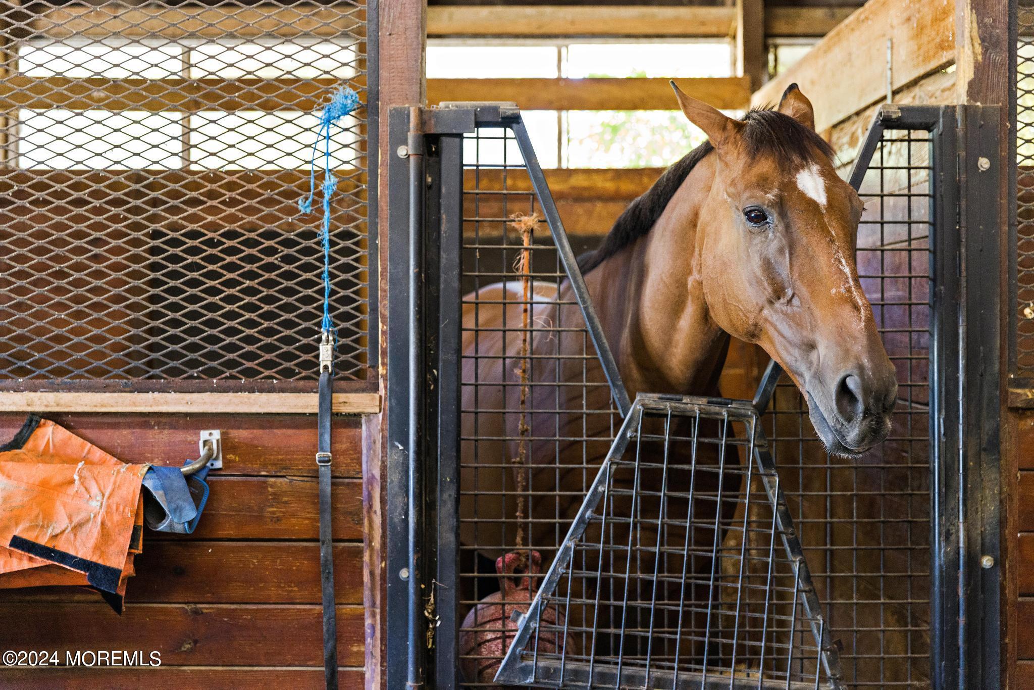 75 Willow Brook Road Colts Neck, NJ 07722 - Photo 24 of 30 75 Willowbrook - Stables