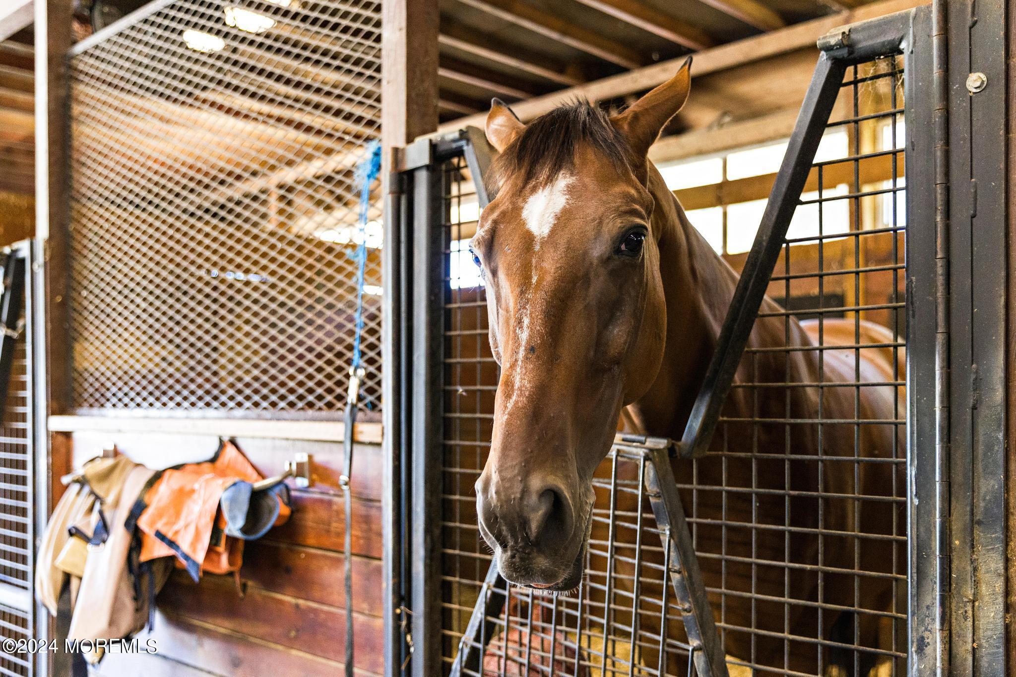 75 Willow Brook Road Colts Neck, NJ 07722 - Photo 3 of 30 75 Willowbrook - Stables