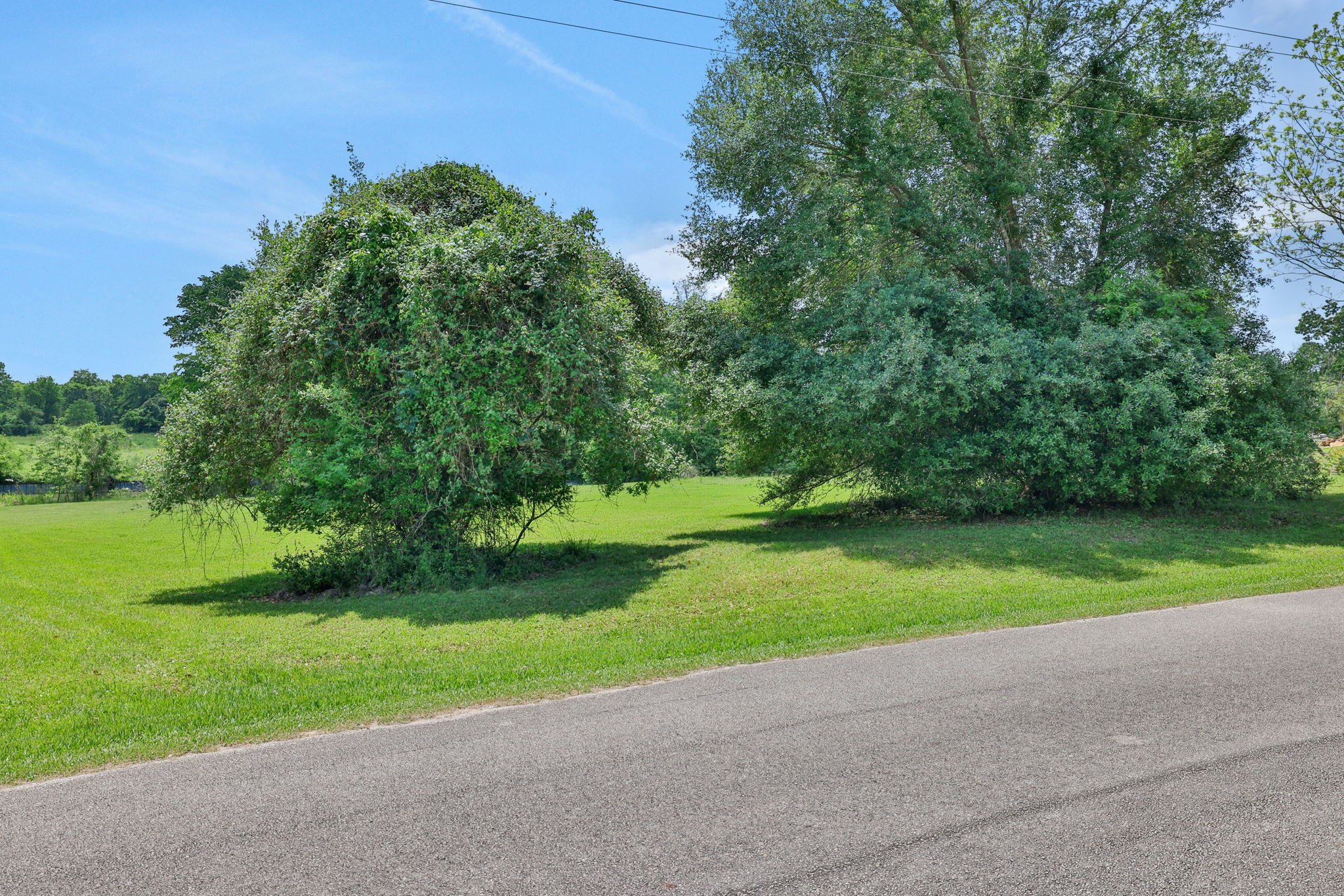 0 Rocky Creek Road Coldspring, TX 77331 - Photo 4 of 14 Street view of the lots on Rocky Creek Drive.