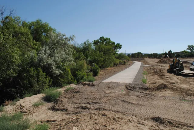 a view of a dry yard with trees