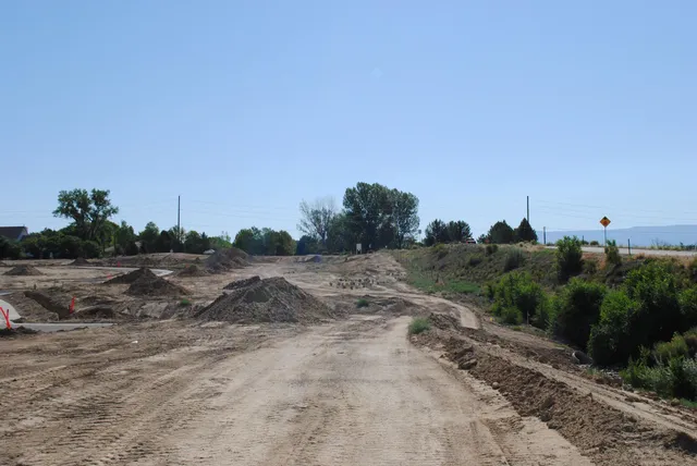 a view of a dry yard with trees
