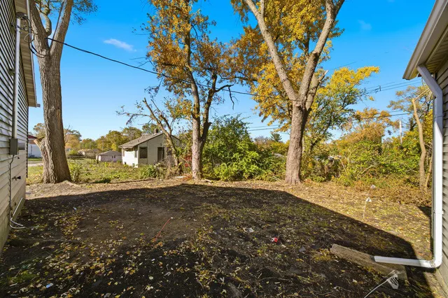 a view of a yard with a tree