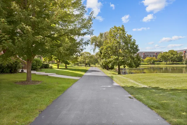 a view of a park with large trees