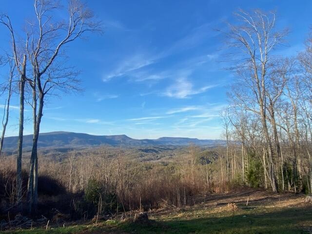 1 Chestnut Mountain Road Reliance, TN 37369 - Photo 2 of 24 Gallery Image 2