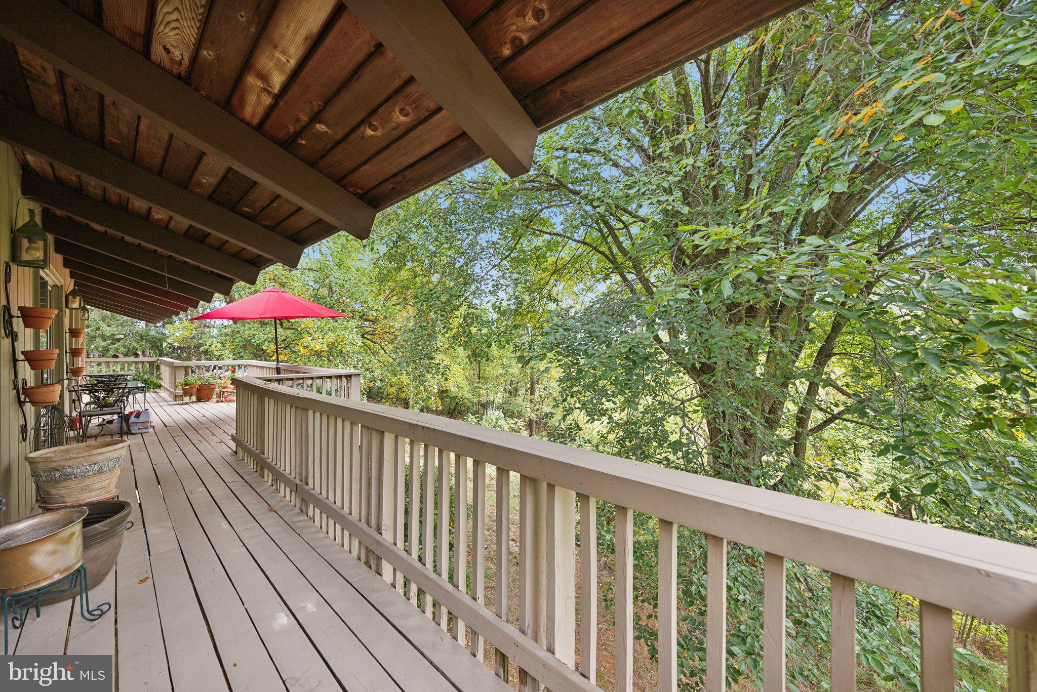 39773 Thomas Mill Road Leesburg, VA 20175 - Photo 22 of 27 one of the highest elevations in Loudoun County