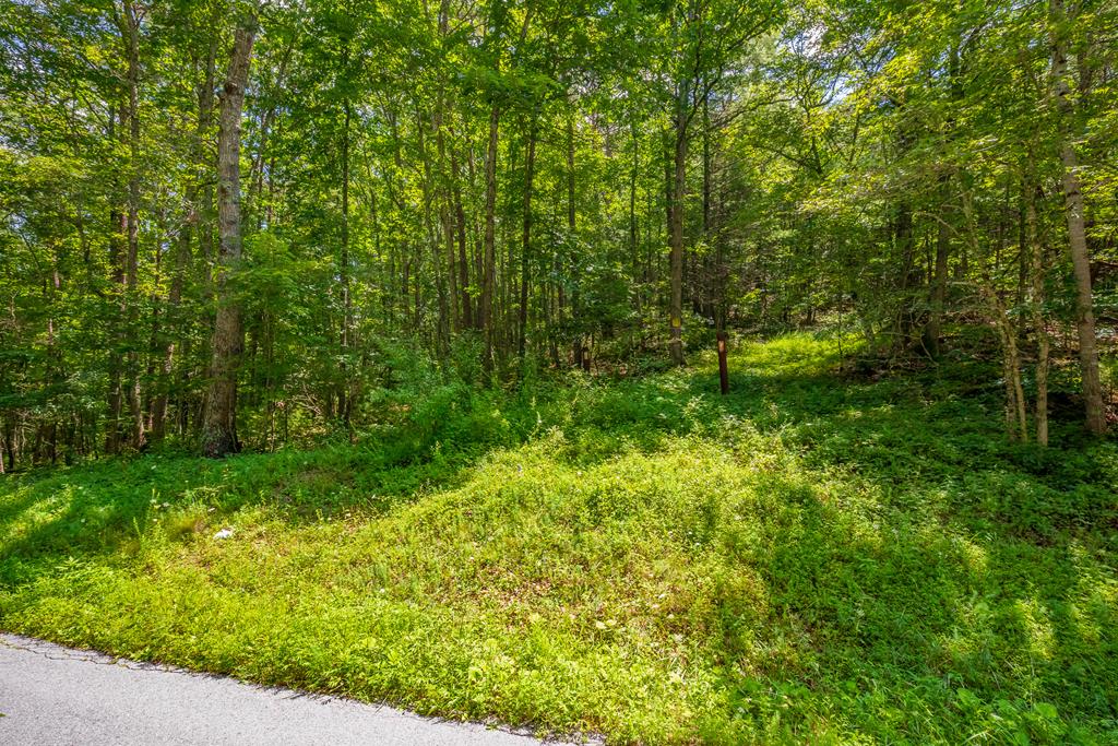 37-acres Dinky Track Road, Unit 1 Bland, VA 24315 - Photo 1 of 1 Gallery Image 1