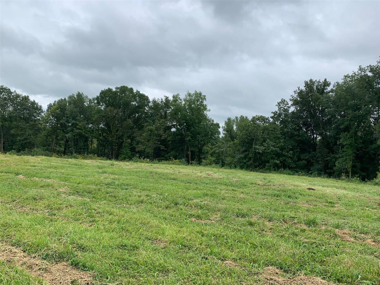 8022 Possum Hill Road Worden, IL 62097 - Photo 1 of 8