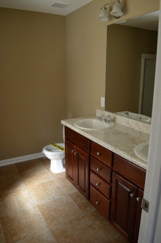 485 Bob White Road Macon, GA 31216 - Photo 11 of 13 a bathroom with a granite countertop sink a toilet and a mirror