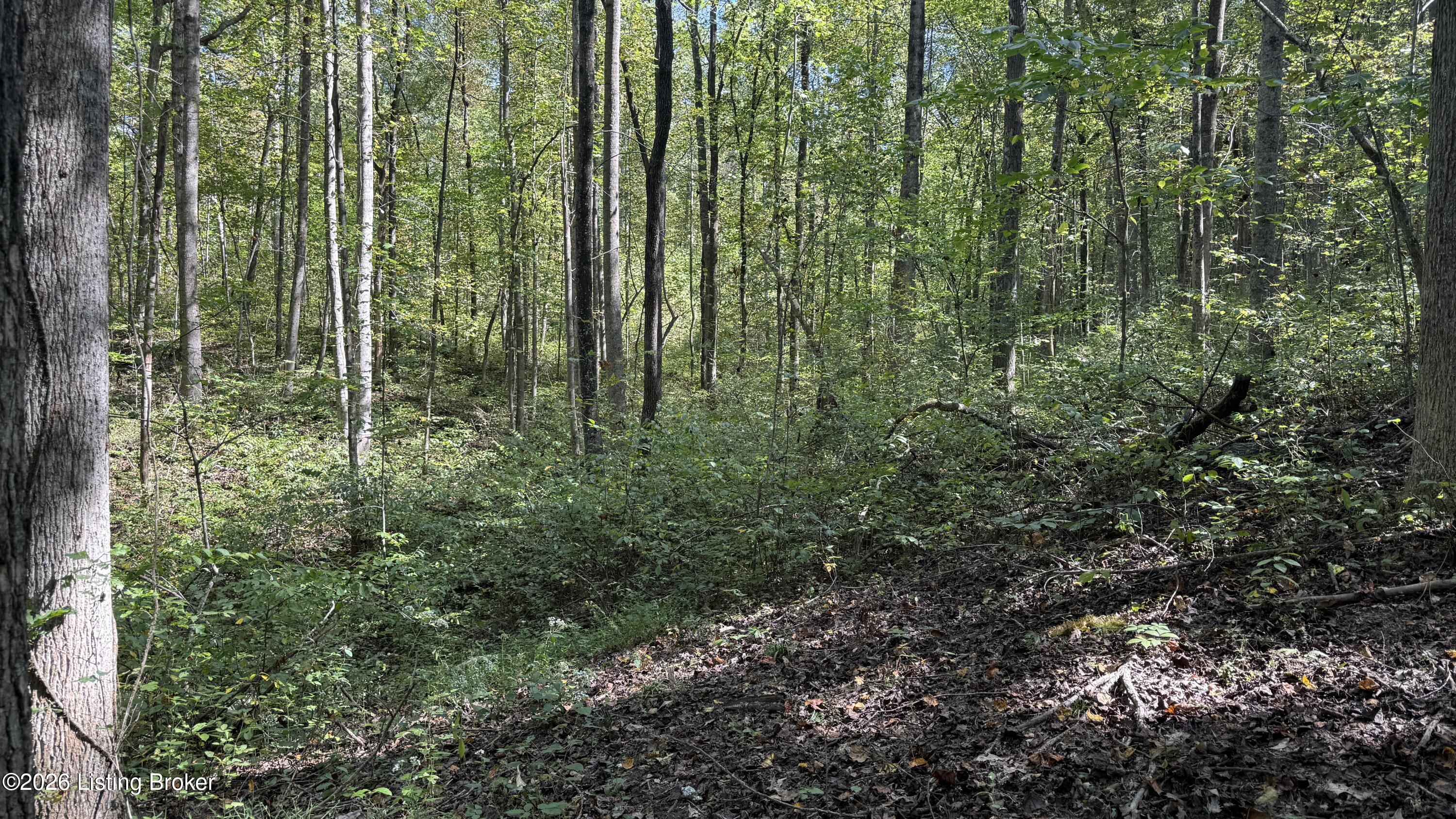 500 Attilla Road Campbellsville, KY 42718 - Photo 11 of 13 11