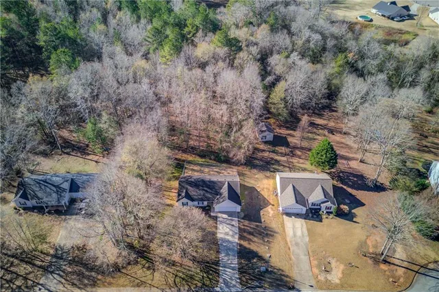 a view of a backyard with plants and large trees